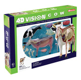 4D Vision Cow Anatomy Veterinary Education Model