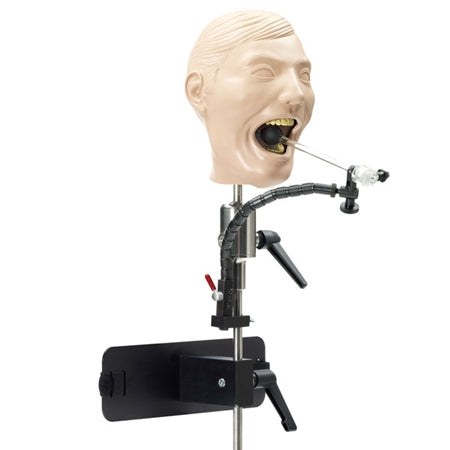 Dental Adult X-Ray Manikin with Mounting Pole and Dentoform
