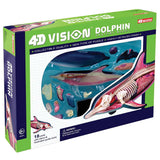 4D Vision Dolphin Anatomy Model Veterinary Teaching