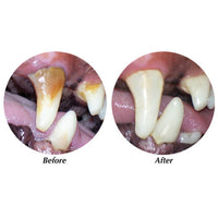 Dog Dental Foaming Oral Health Spray For Pets Fresh Breath and Clean Teeth 4.5 oz