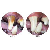 Dog Dental Foaming Oral Health Spray For Pets Fresh Breath and Clean Teeth 4.5 oz