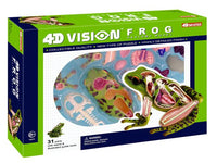 4D Vision Frog Anatomy Veterinary Education Model