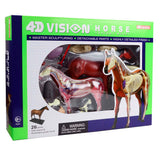 4D Vision Horse Anatomy Model Veterinary Teaching