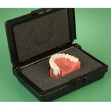 Dental Overdenture Demo 7-Unit Implant Practice Model