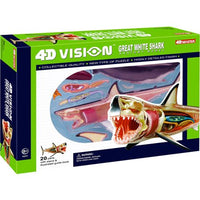 4D Vision Great White Shark Anatomy Education Model