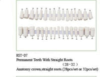 Dental Typodont Ivorine Upper and Lower Replacement Teeth for Model 860