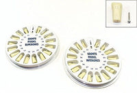 Dental Typodont Ivorine Upper and Lower Replacement Pediatric Teeth Model 760