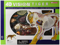 4D Vision Tiger Anatomy Educational Veterinary Model