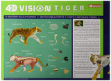 4D Vision Tiger Anatomy Educational Veterinary Model